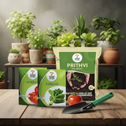 Urban Kitchen Garden Starter Kit – Tomato & Palak Combo Urban Kitchen Garden Starter Kit – Tomato & Palak Combo