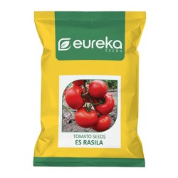 EUREKA TOMATO ES RASILA IMPROVED SEEDS - 20 GMS EUREKA TOMATO ES RASILA IMPROVED SEEDS - 20 GMS