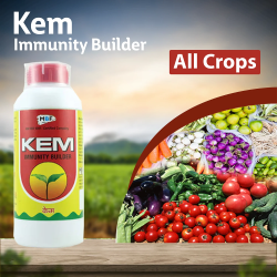 MBF Kem Insecticide MBF Kem Insecticide