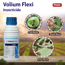 Syngenta Voliam Flexi Insecticide Syngenta Voliam Flexi Insecticide