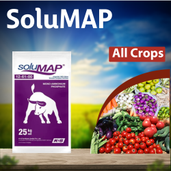 K+S SoluMAP 12:61:0 Fertilizers - 1 KG K+S SoluMAP 12:61:0 Fertilizers - 1 KG
