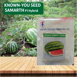 Known You Krushna Watermelon Seeds - 50GM Known You Krushna Watermelon Seeds - 50GM