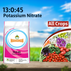 Mahadhan 13:0:45 Fertilizers - 1 KG Mahadhan 13:0:45 Fertilizers - 1 KG