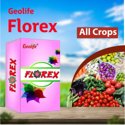Geolife Florex (Flower Booster) 5 GM Geolife Florex (Flower Booster) 5 GM