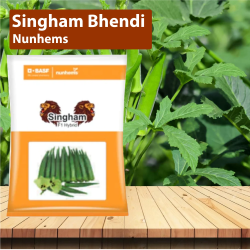 Nunhems Singham Bhendi Seeds - Pack of 3500 Seeds Nunhems Singham Bhendi Seeds - Pack of 3500 Seeds