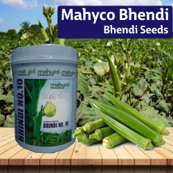 Mahyco Bhendi Hy 10 Seeds -1 KG Mahyco Bhendi Hy 10 Seeds -1 KG