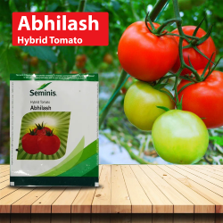 Seminis Hybrid Tomato Abhilash Seeds Seminis Hybrid Tomato Abhilash Seeds