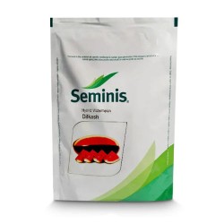 Seminis Dilkash Watermelon - 50GM Seminis Dilkash Watermelon - 50GM