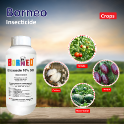 Sumitimo Borneo Insecticide - 500 ML Sumitimo Borneo Insecticide - 500 ML