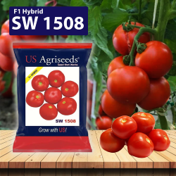 SW 1508 Hybrid Round Tomato Seeds SW 1508 Hybrid Round Tomato Seeds