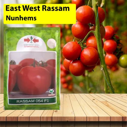 East West Rassam 052 Tomato Seeds East West Rassam 052 Tomato Seeds