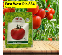 East West Ria 834