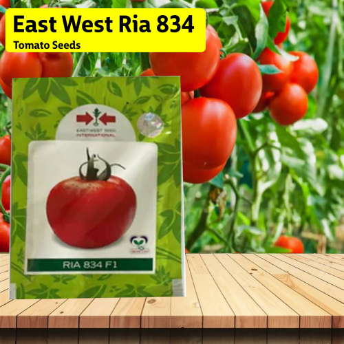 East West Ria 834 Tomato Seeds East West Ria 834 Tomato Seeds