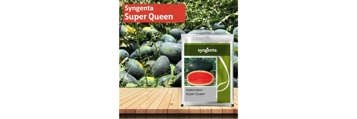 Syngenta