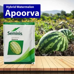 Seminis Apoorva Watermelon Seminis Apoorva Watermelon